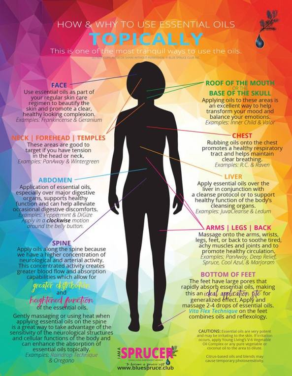 12799361_1694433907435300_6073428727635452044_n