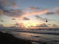 20140603_114029127_iOS