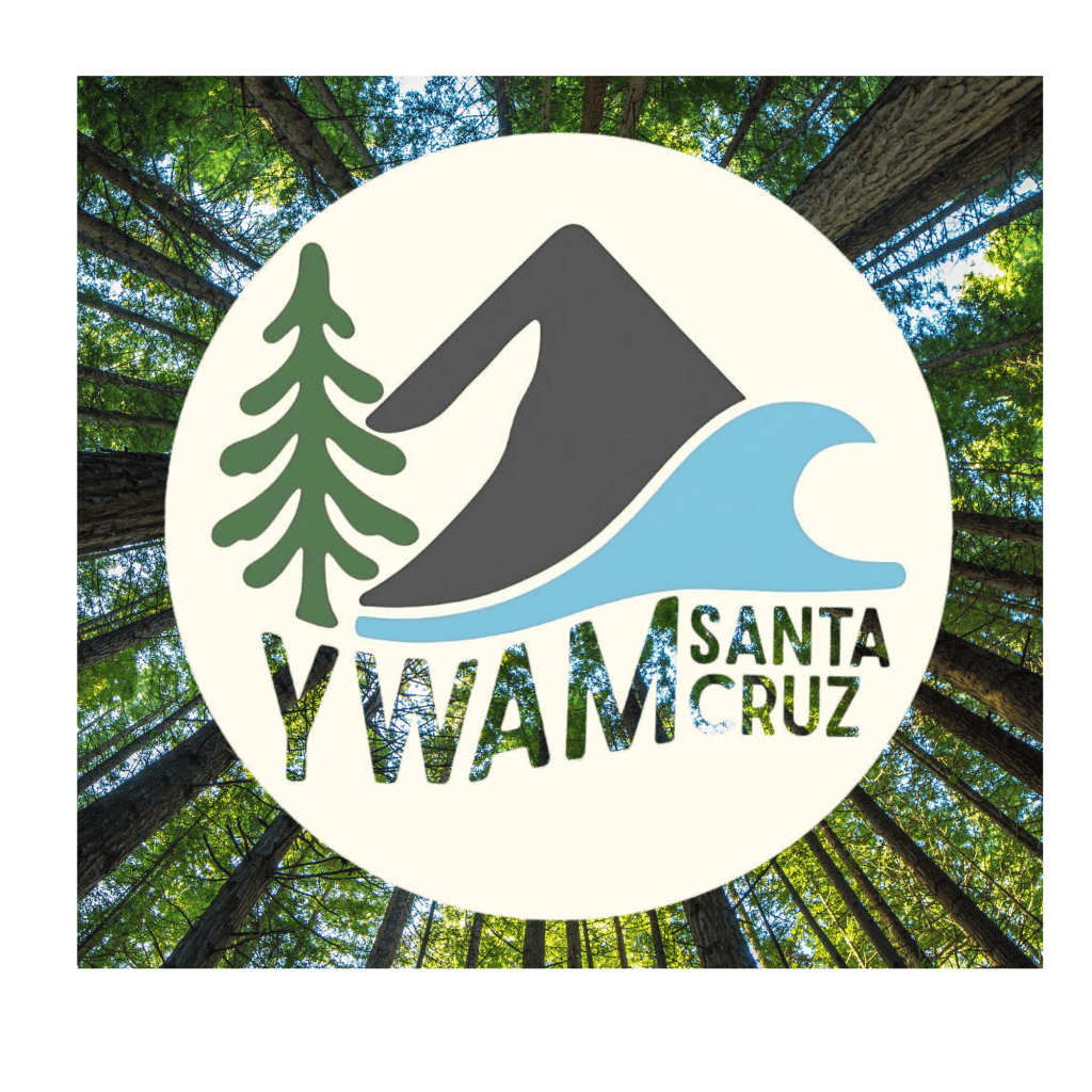 Logo of YWAM Santa Cruz featuring a pine tree, mountain, and wave design, set against a background of tall trees.